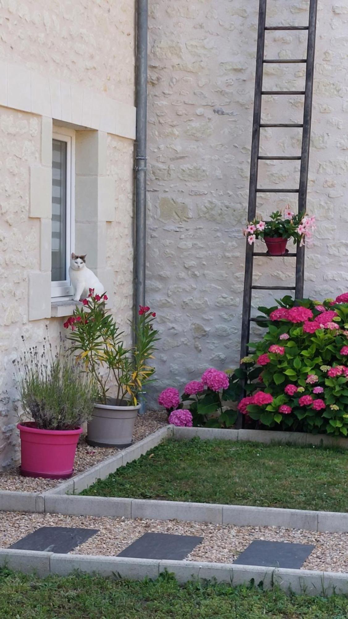 Gite Amanala Poitou Saint-Genest-d'Ambiere ภายนอก รูปภาพ
